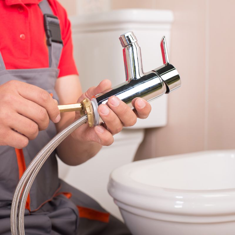 Residential Plumbing Services Pinellas County